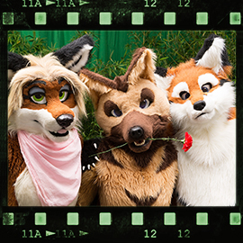 Eurofurence 2015 fursuit photoshoot. Preview picture of Kit, Angie, Barbie'Q'Foxtail